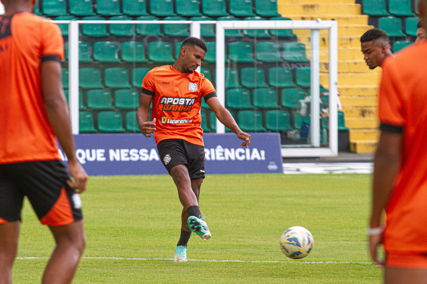 Campeonato Catarinense - Figueirense