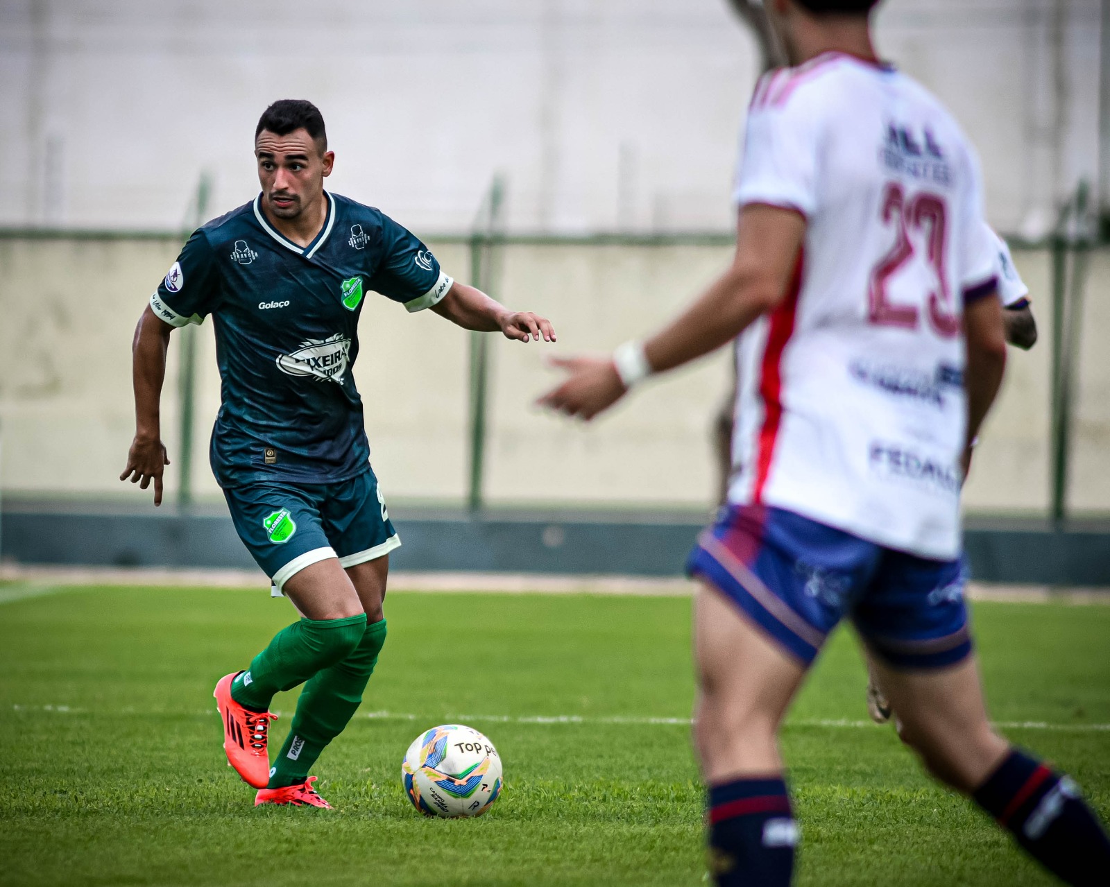 Guilherme Nunes - Floresta