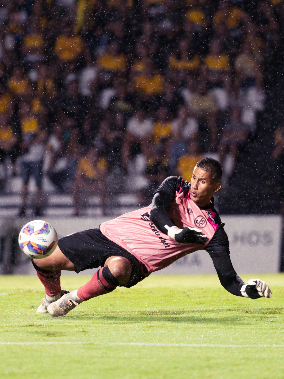 Joinville - Copa Santa Catarina